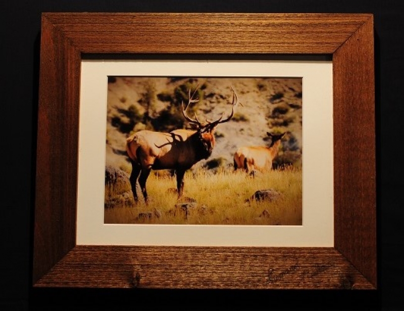 Bull Elk by artist lenard fisher